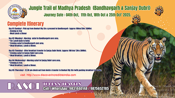 Kanha Pench Tour